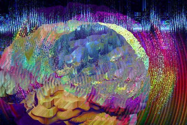 brain
