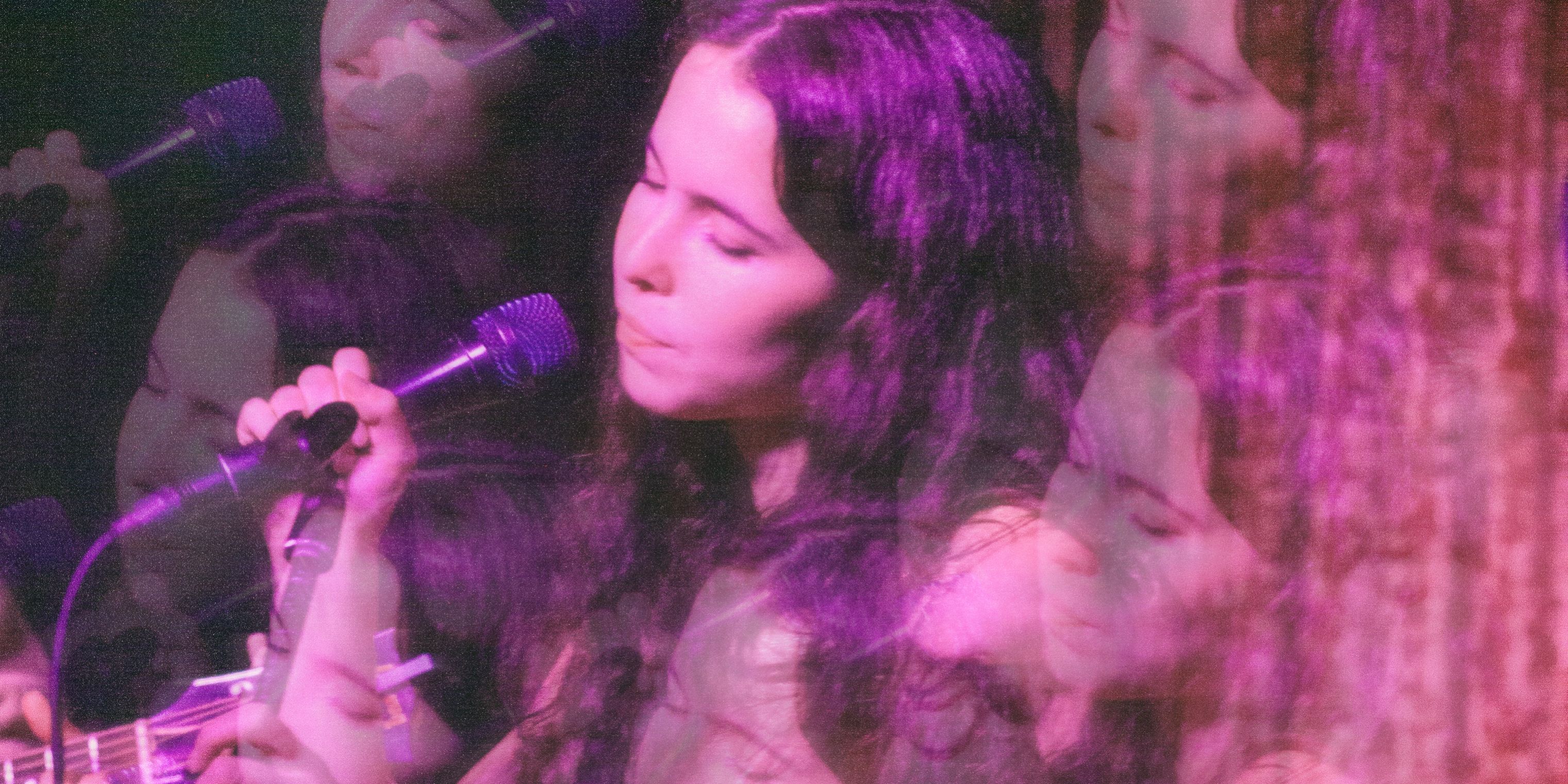 lady apple tree banner