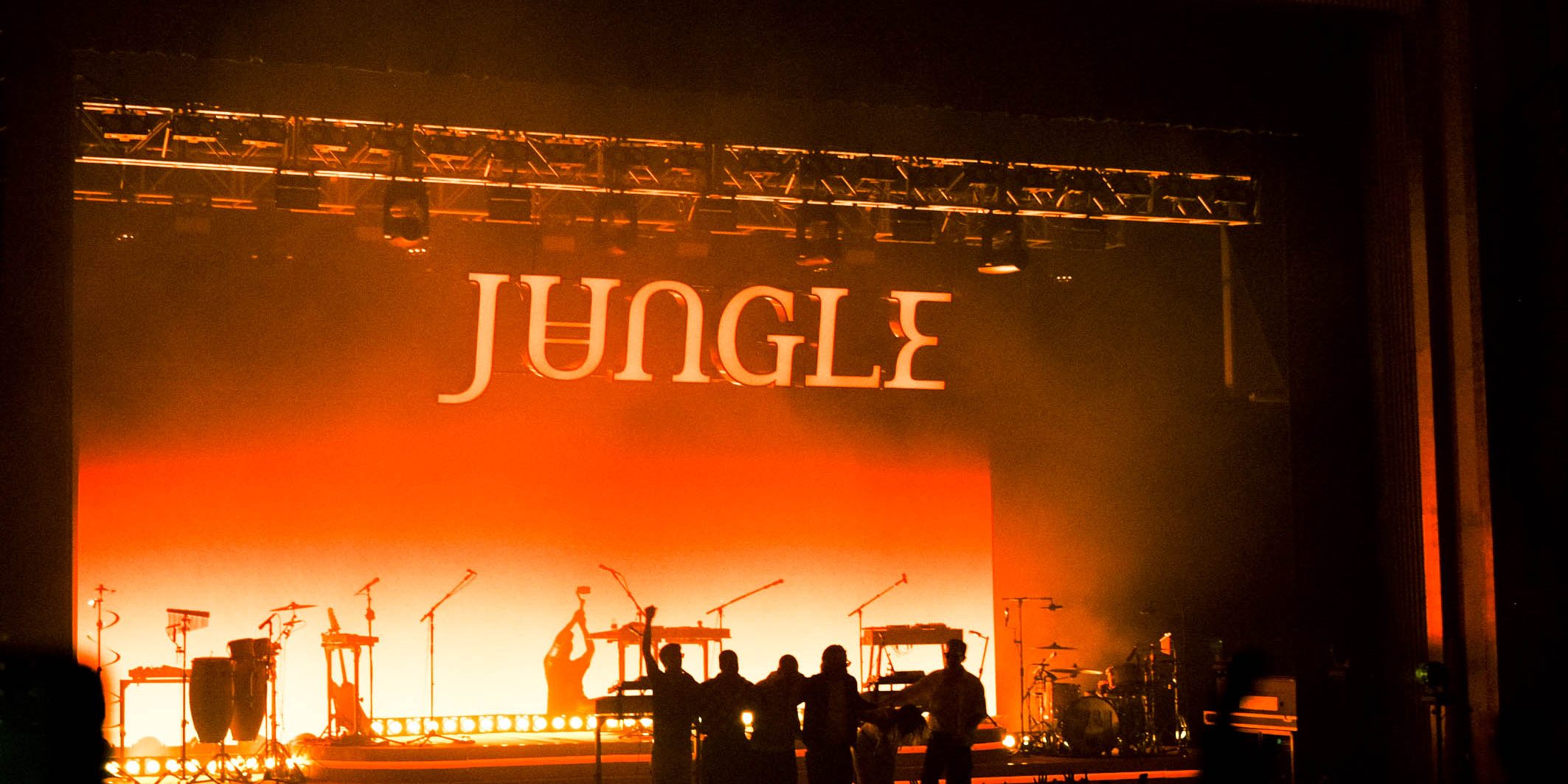 Jungle03