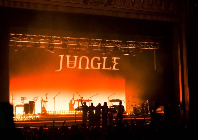Jungle03