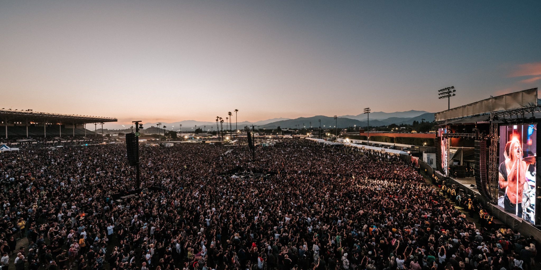 NV24_ABonecutter_010