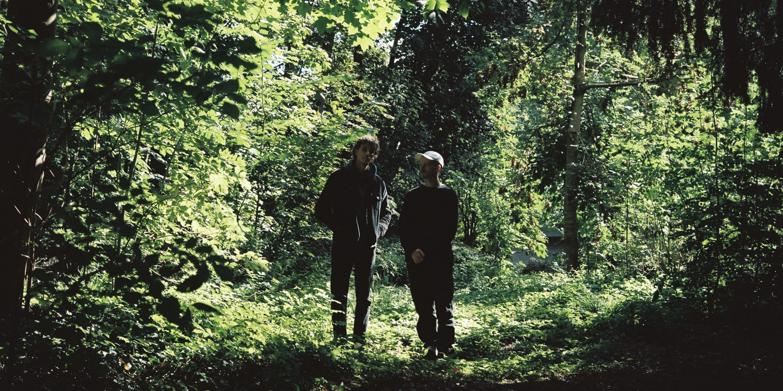 Forêt – Banner © Lannoije (1)