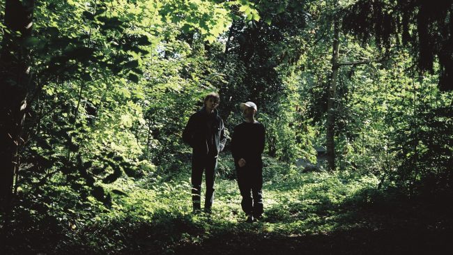 Forêt – Banner © Lannoije (1)