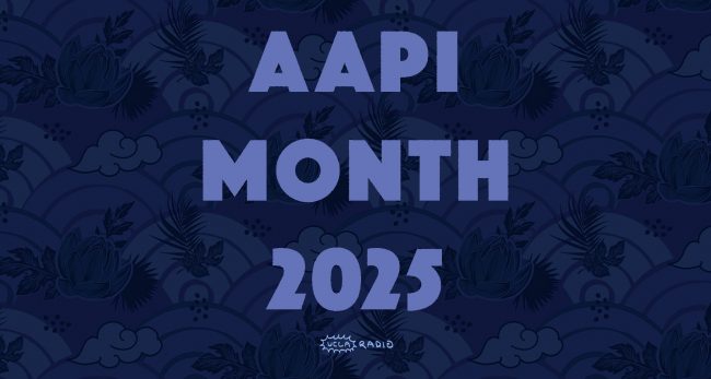 aapi cover